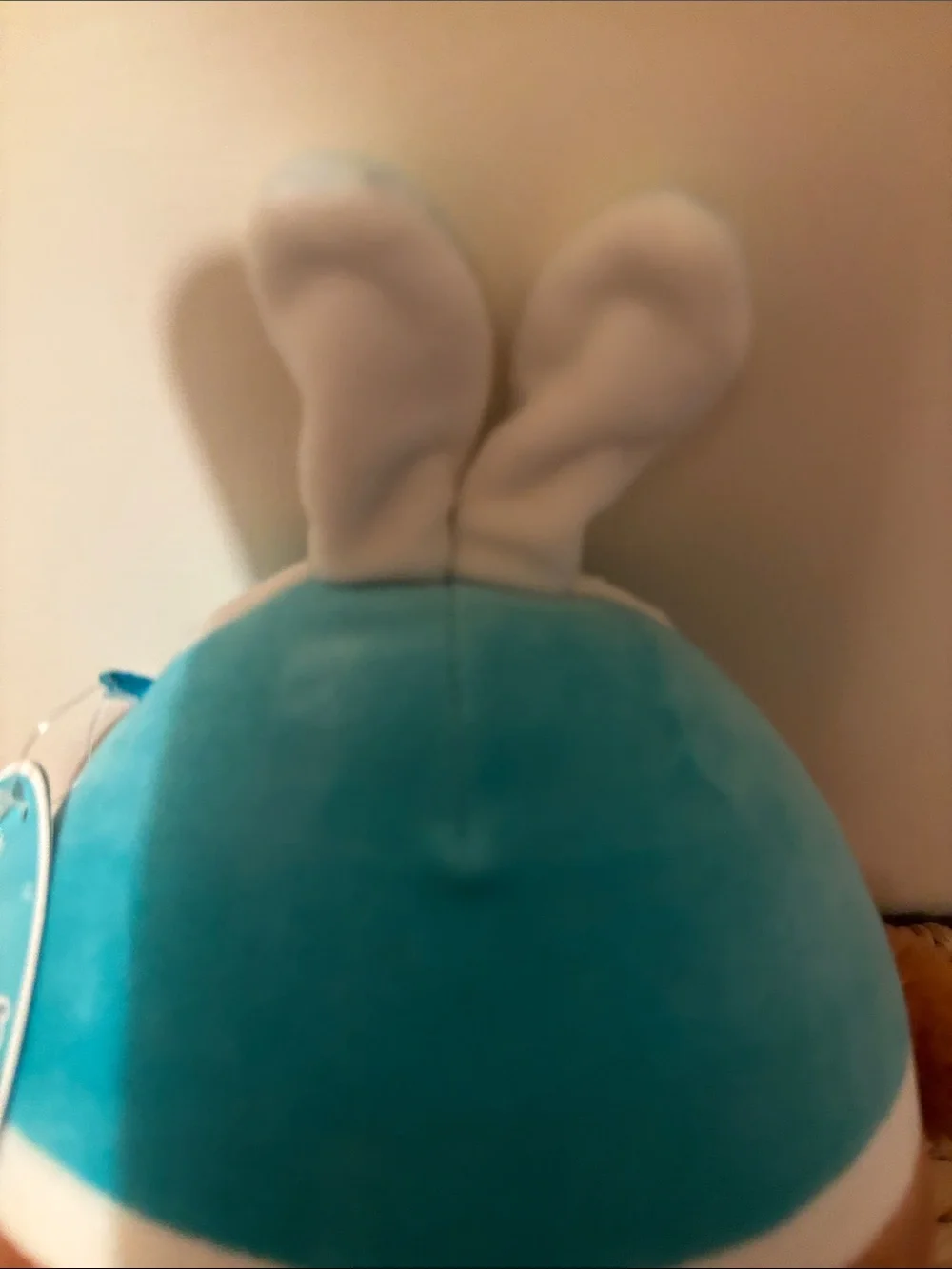 Squishmallows Teal and Brown Bunny-Eared Plush Small Pet Toy”Daksa”